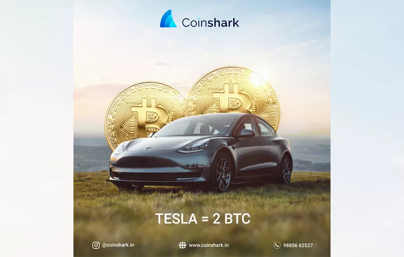 COINSHARK - BRANDING WORK screenshot 4